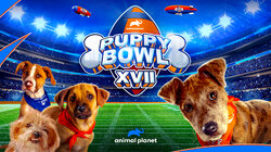 Puppy Bowl XVII