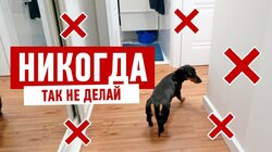 РЕМОНТ КВАРТИРЫ В БЕЛЫХ ТОНАХ. ОТЗЫВ ЗАКАЗЧИКА #514