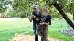 It's Apple Season