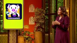 Naye Aur Nayab Pitchers