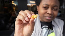 Chicken Shop (Angel)