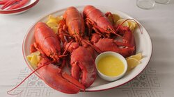 Maine Lobster Dinner