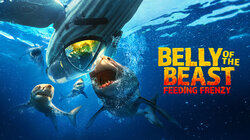 Belly of the Beast: Feeding Frenzy