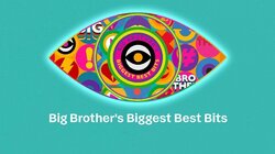 Big Brother's Biggest Best Bits