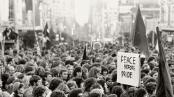 Fallout and Recovery