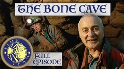 The Bone Caves - Alveston, Gloucestershire