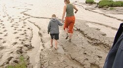 Rescuing a Mesolithic Foreshore - Goldcliff, Newport