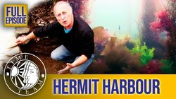 Hermit Harbour - Looe Island, Cornwall