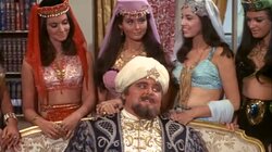 The Sultan Has Five Wives