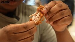 Popeye's Chicken (Stratford)