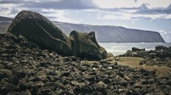 The Rapa Nui