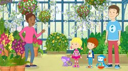 Why Are Flowers Special?