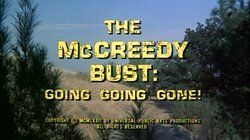 The McCreedy Bust: Going Going Gone!