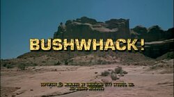 Bushwhack!
