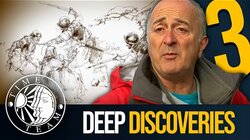 Time Team's Greatest Discoveries