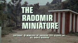 The Radomir Miniature