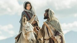 Special Christmas Episode