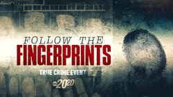 Follow the Fingerprints
