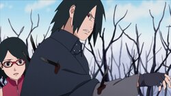 Sasuke and Sarada