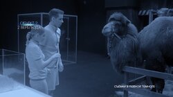 Выпуск 1. Пышненко, Блёданс, Жигалова, Бороденко, Одинцова, Кривеня, Цуканова-Котт, Гордей