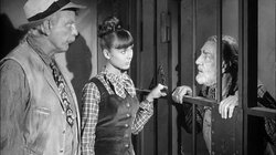 Uncle Lucius, the Business Man