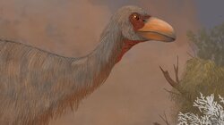 Genyornis: Gigantic Fun! still