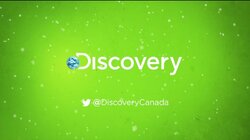 Discovery Channel