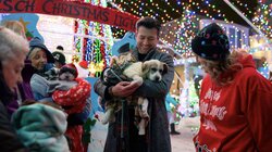 Festive Families