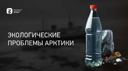 Экологические проблемы Арктики