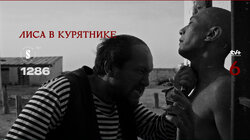 Лиса в курятнике