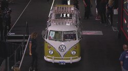 Sunny Vibes and Majestic Rides