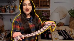 How Shells Tell Native History