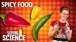Peppers & Pain: The Spicy Science