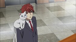 White Cocoons and Blue Flames