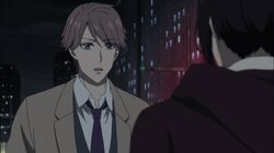 Beneath the Cherry Tree Forest in Full Bloom