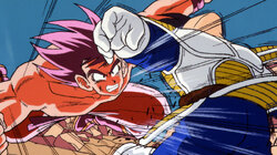 Saiyan Sized Secret