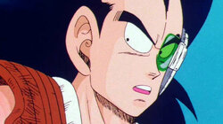 Piccolo's Plan