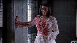 The Bride Wore Blood