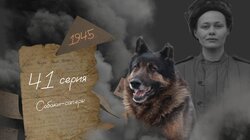Серия 41. Собаки-сапёры