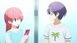 A Summer Day