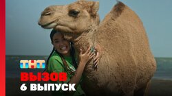 Выпуск 6