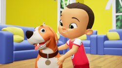 I Love Animals