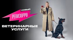 Выпуск 6. Ветеринарные услуги