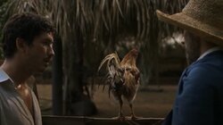 Una Víbora Llamada Barrera