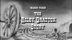 The Riley Gratton Story