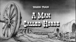 A Man Called Horse