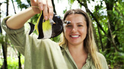 Индонезия 2