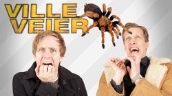 Ville Veier 4 - Edderkopp i håret