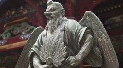 The Birdman Mystery