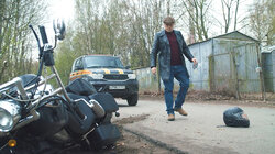 Лесные вепри